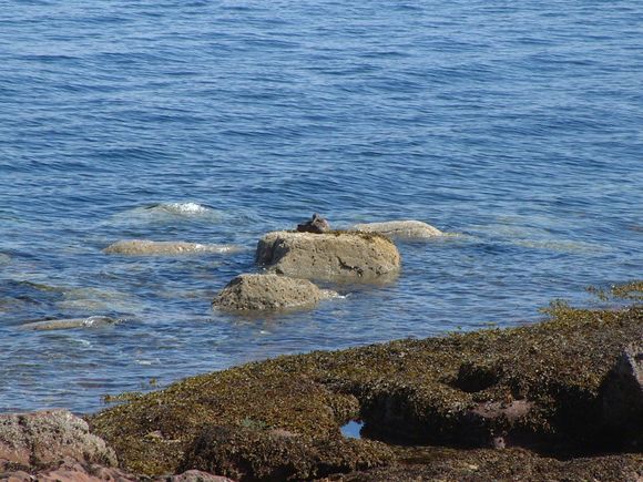 Arran III 038.jpg