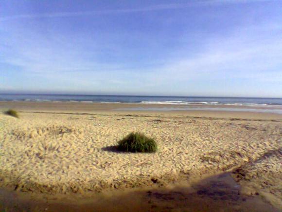 Image000.jpg