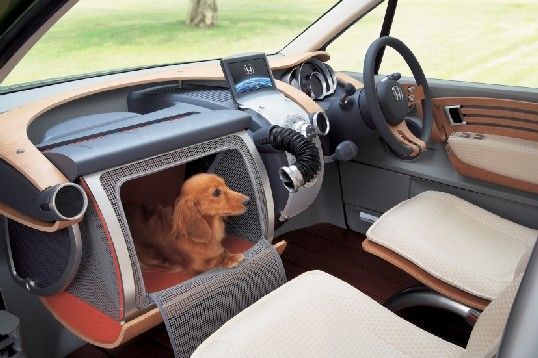 wow doggie.jpg