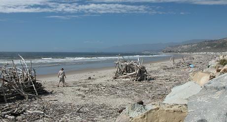 051015 Rincon beach 4085.JPG