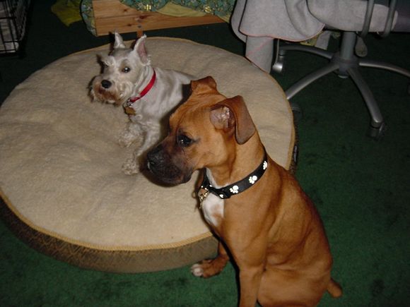 Picture 001.jpg