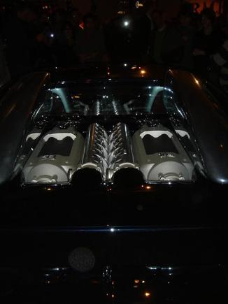DSC06010 (Medium) (2).JPG