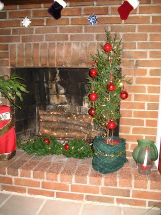 tree 012.jpg