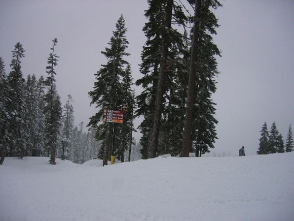 IMG_0867.JPG