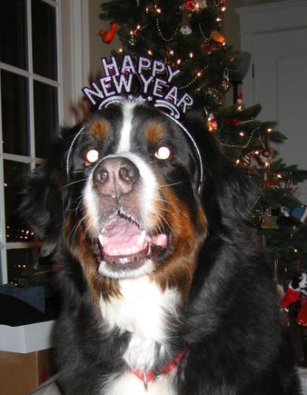 BETTIS NEW YEAR