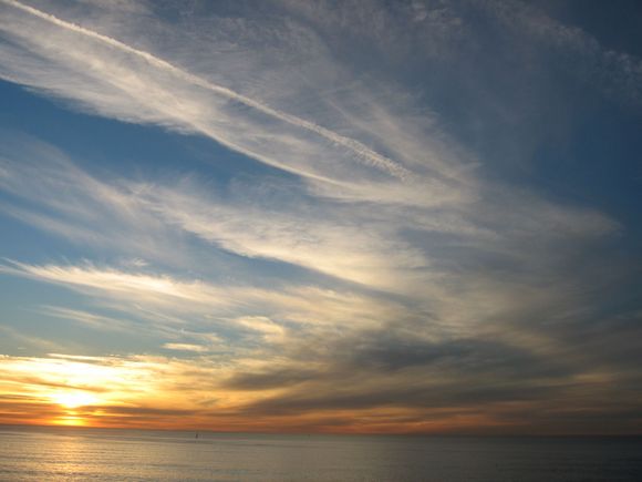 IMG_0215.JPG