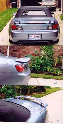 wing pics.jpg