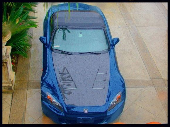 blue.jpg