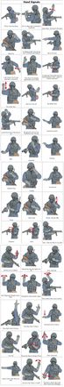 signals