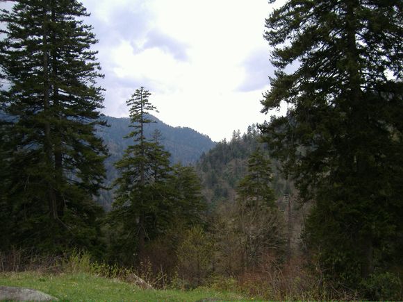 DSCF0719.JPG