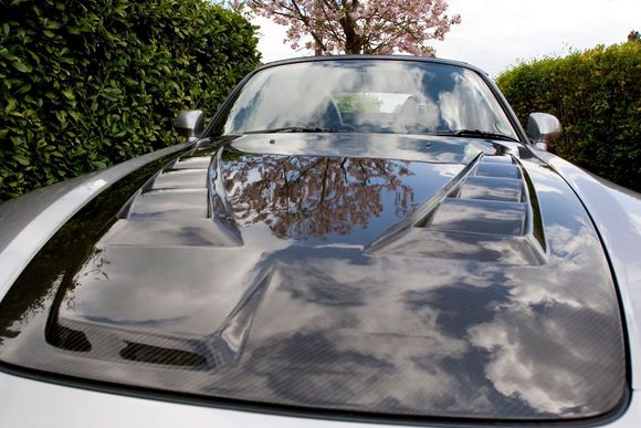 bonnet.jpg