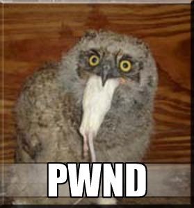 pwnd owl