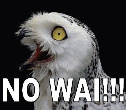 no wai
