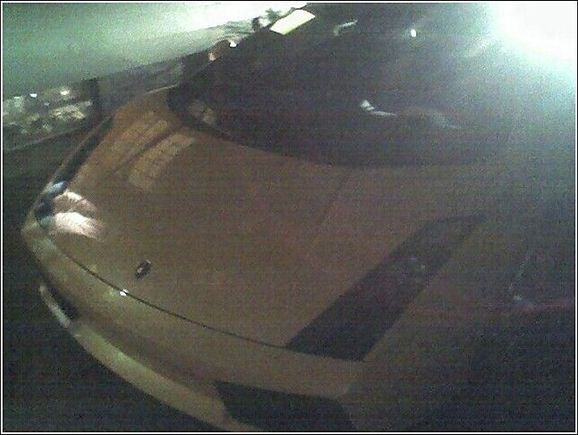 Lambo.jpg