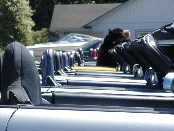Line of seats.jpg