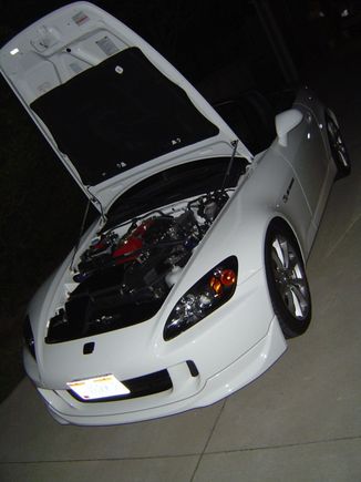 PSS9sBBK 025.jpg