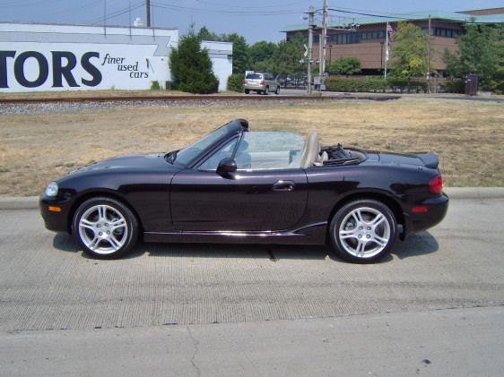 Black Cherry Mica
