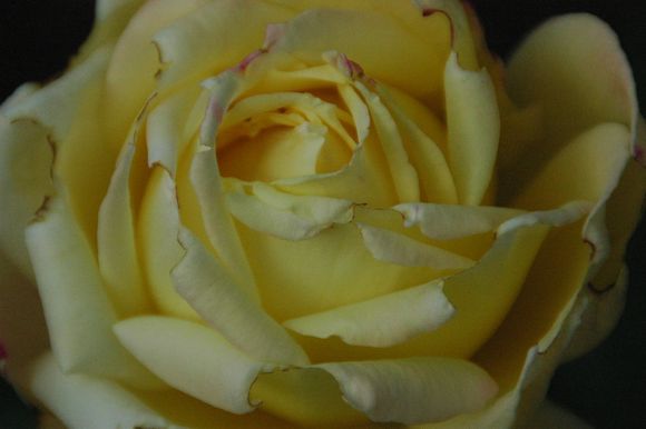 DSC_1070.JPG