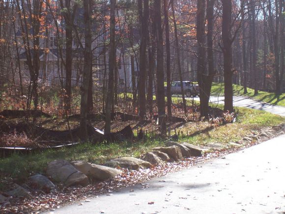 Driveway entry.jpg