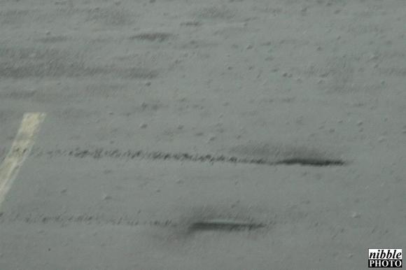 DSC_3456.JPG