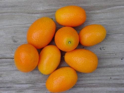 Kumquat = projectiles