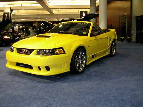 Saleen Mustang.JPG
