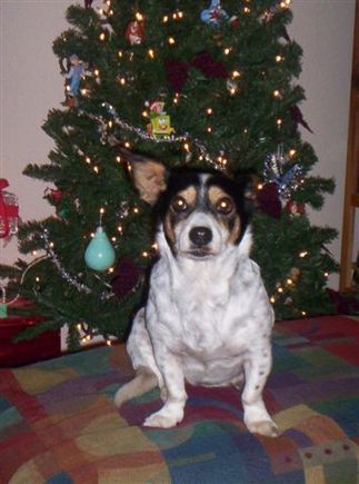 12-20-06 003.jpg
