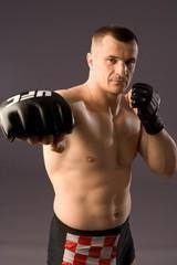 Cro Cop1.jpg