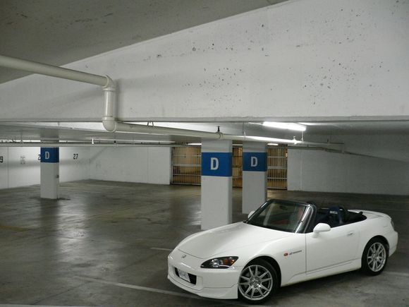 P1010111.JPG