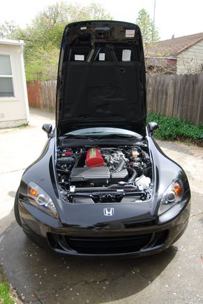 TRE_0600.JPG