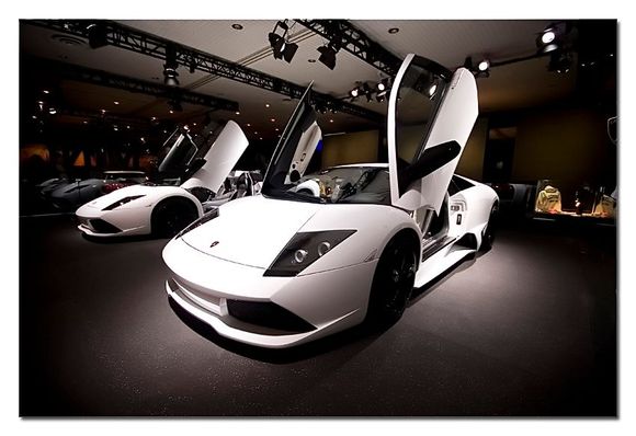 lambo1.jpg