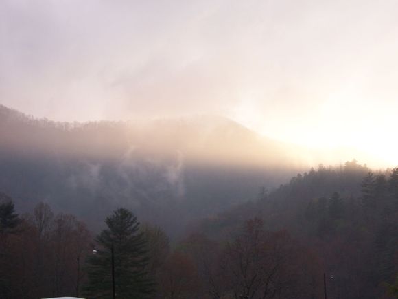 WTD 07 031.jpg