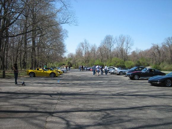 31.jpg