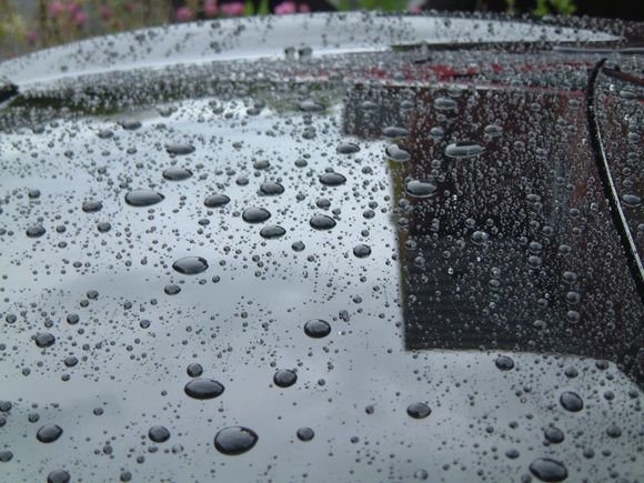 Allans Black S2000 25.JPG
