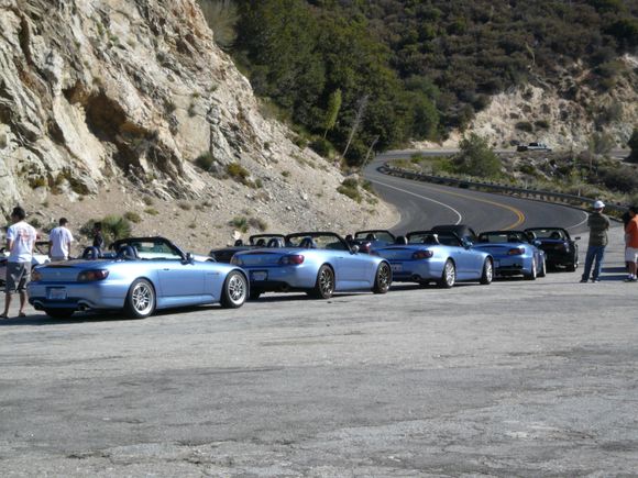 Suzuka Blue Beauties