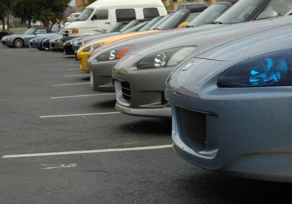 DSC_5778 071029 noses.JPG
