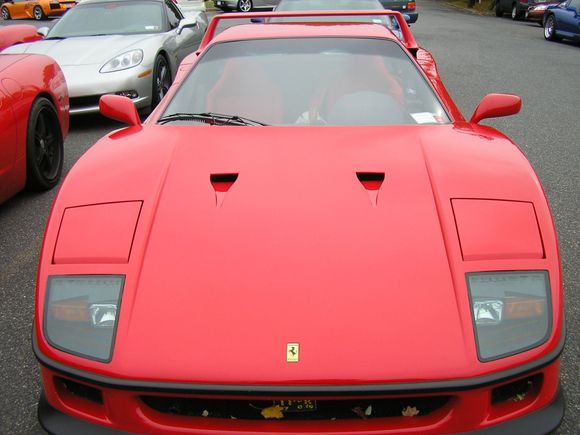 F40 2.JPG