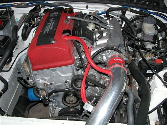 More Pictures 009.jpg