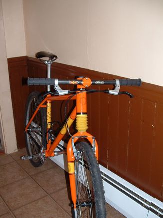 Ted Wocjik Single Speed 002.jpg