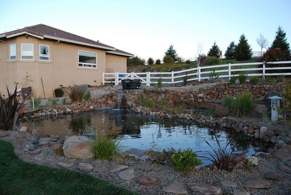 Pond Makeover 2008-03-04_3.JPG