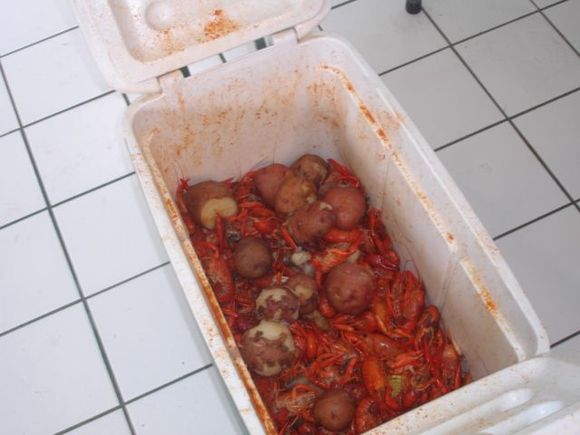 Wake the Crawfish 2008 096.JPG