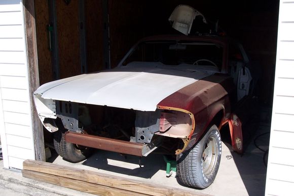 mustang 002.JPG