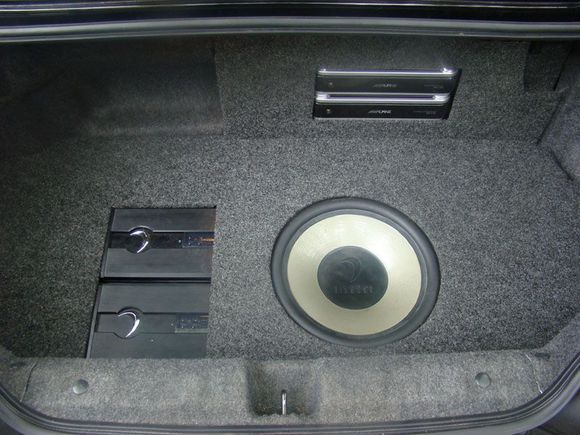 trunk1.jpg
