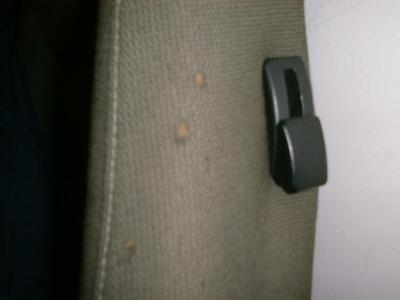 RECARO RIPS.jpg