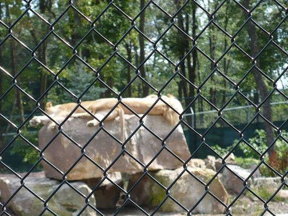 Vacation 2008 063.jpg