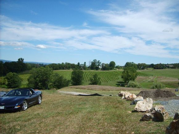 S5000641.JPG