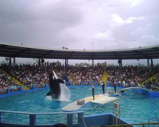 IMG00101.jpg