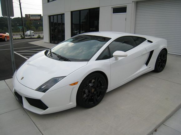 Lambo 8-16-08 034.jpg