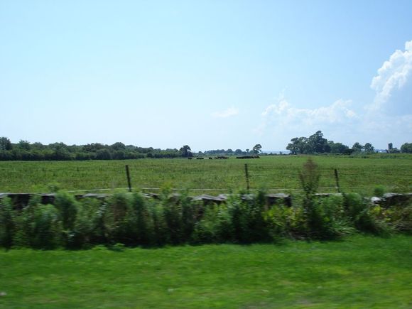 DSC01986a.jpg