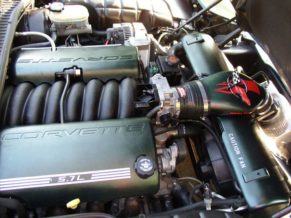 engine bay painted.jpg